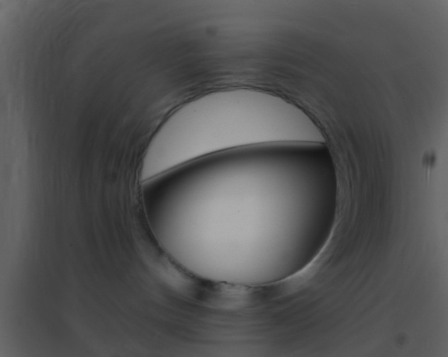 X0000095530144200712140943