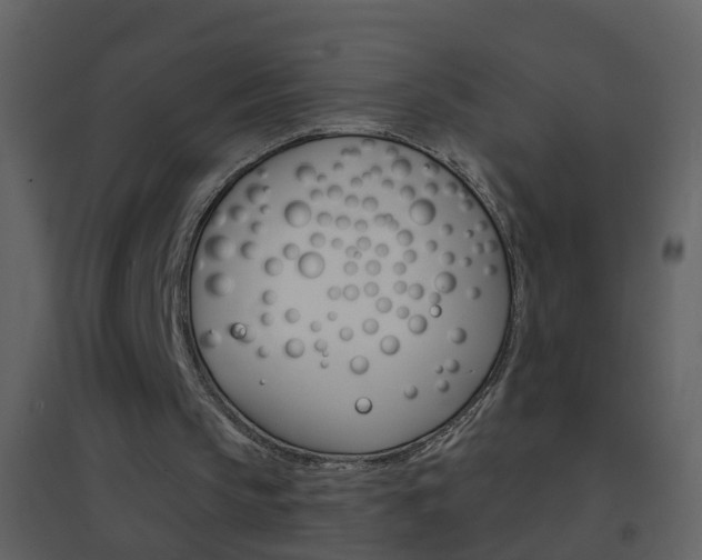 X0000095530145200712140942