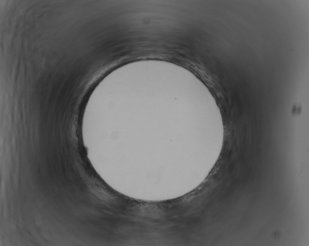 X0000095530146200712140942
