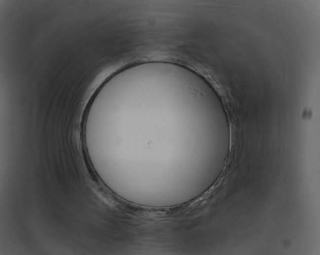X0000095530147200712140942