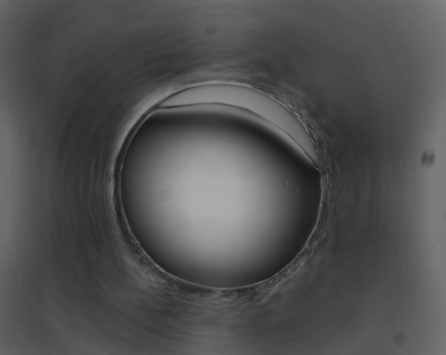 X0000095530148200712140942