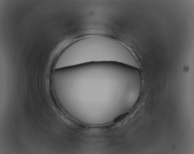 X0000095530149200712140942
