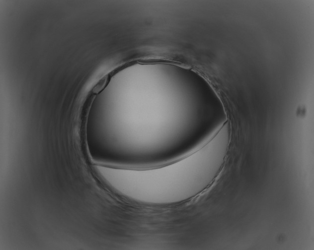 X0000095530150200712140942