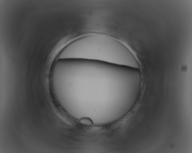 X0000095530151200712140942