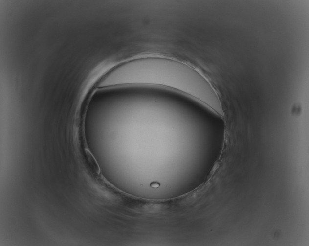 X0000095530152200712140942