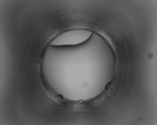 X0000095530153200712140942