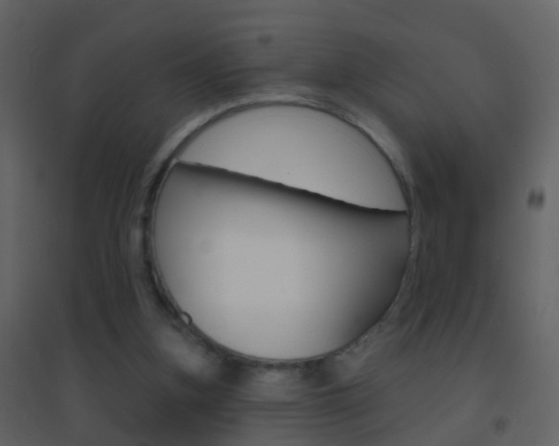 X0000095530155200712140942