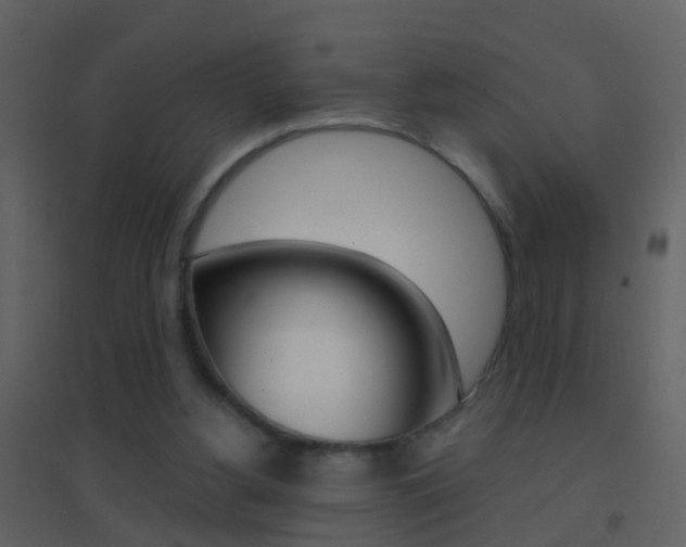 X0000095530156200712140942