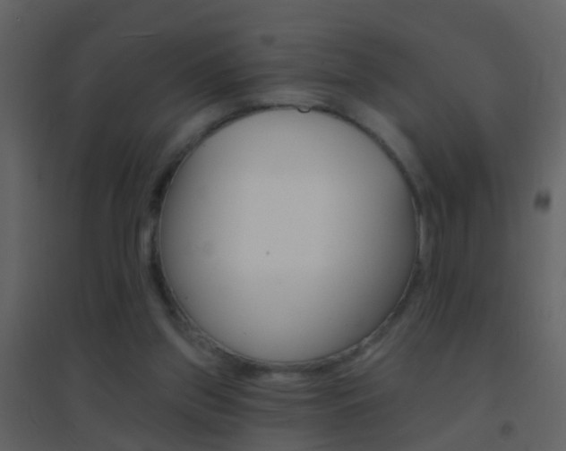 X0000095530157200712140942