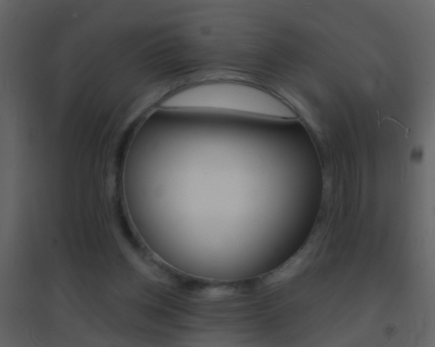 X0000095530158200712140942