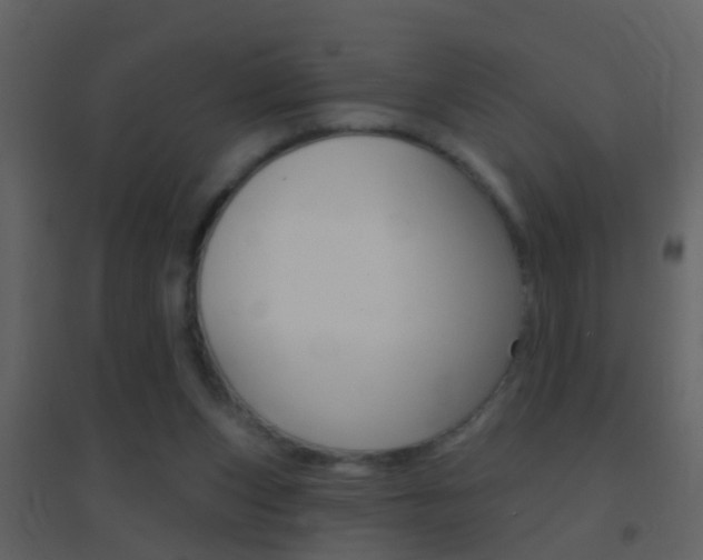 X0000095530159200712140942