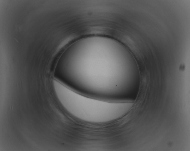 X0000095530160200712140942