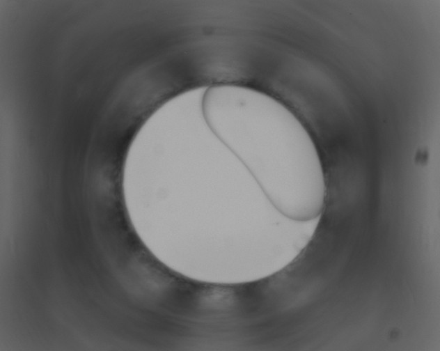 X0000095530162200712140942