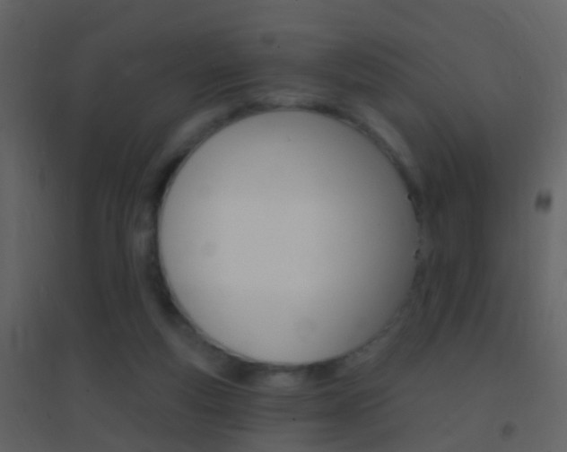 X0000095530163200712140942