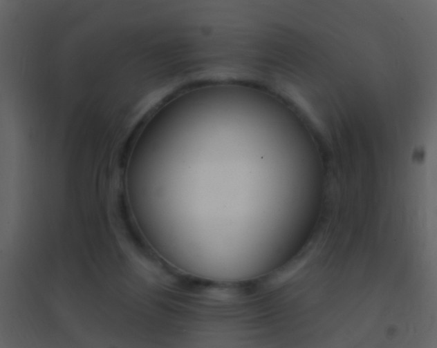 X0000095530164200712140942