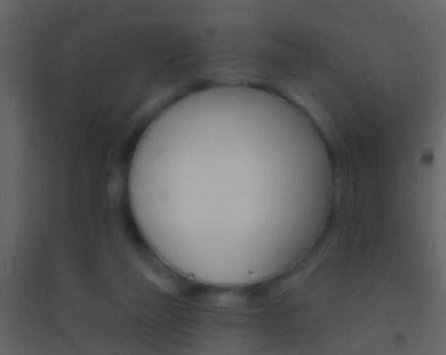 X0000095530165200712140942