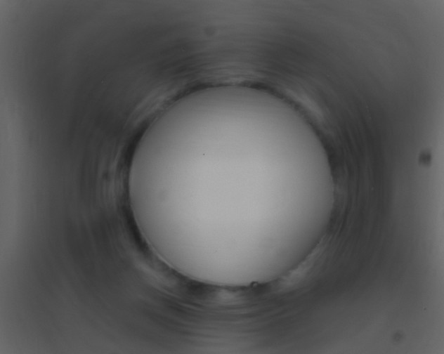 X0000095530166200712140942