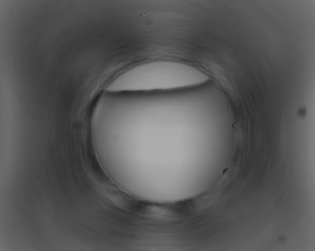 X0000095530167200712140942