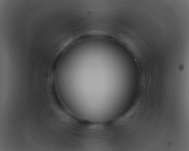X0000095530168200712140942