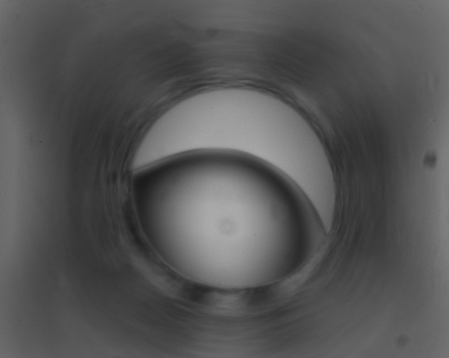 X0000095530170200712140942