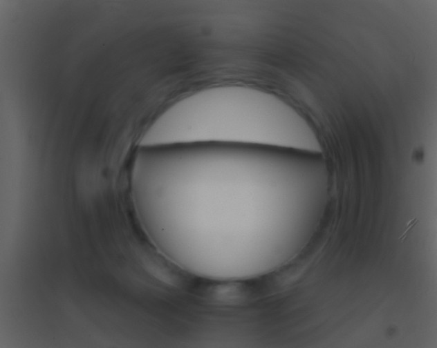 X0000095530173200712140943