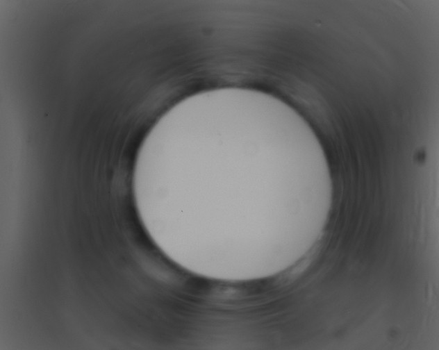 X0000095530174200712140943