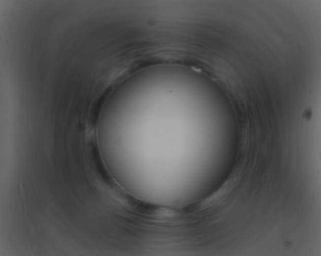 X0000095530176200712140943