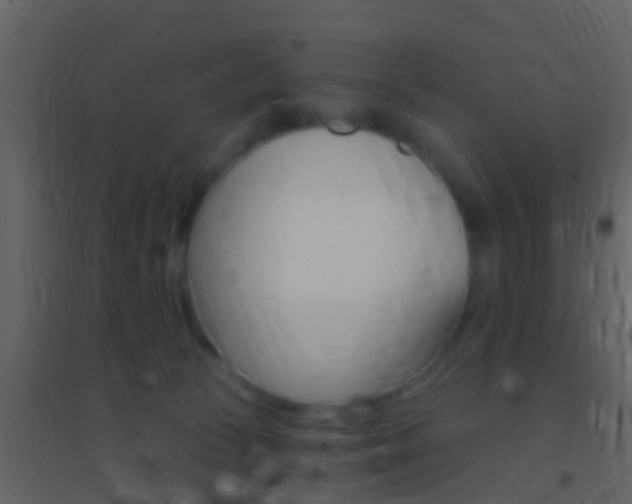 X0000095530177200712140943