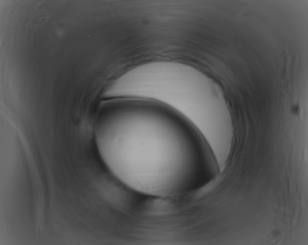 X0000095530180200712140943