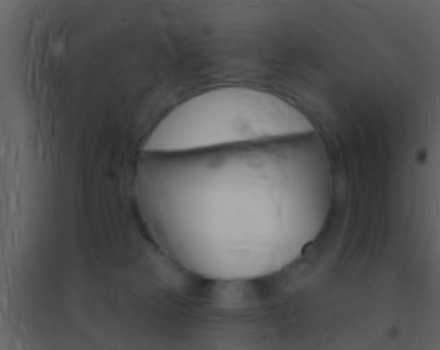 X0000095530181200712140943