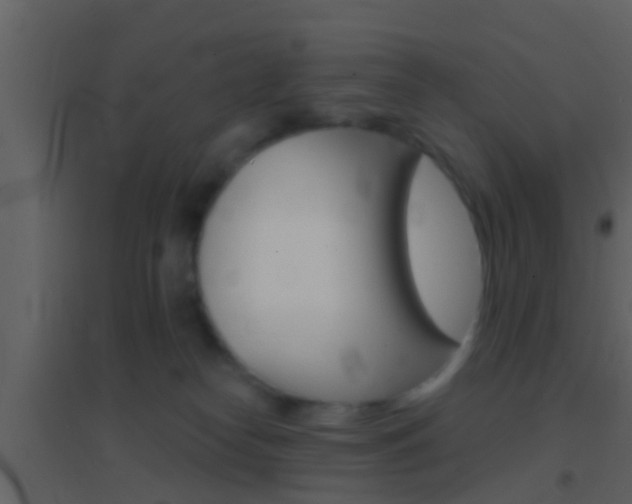 X0000095530182200712140943