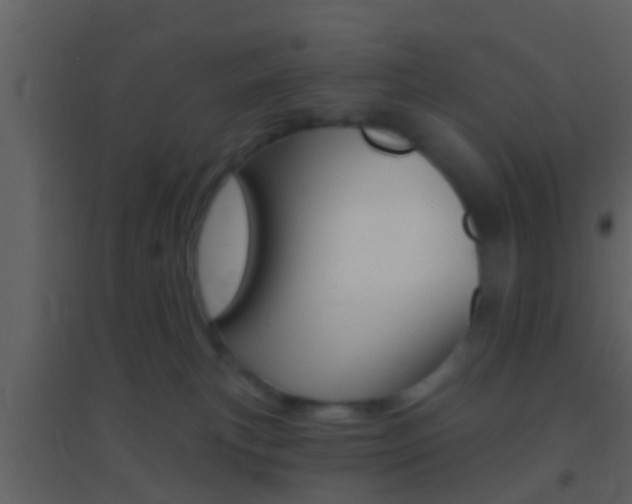X0000095530183200712140943