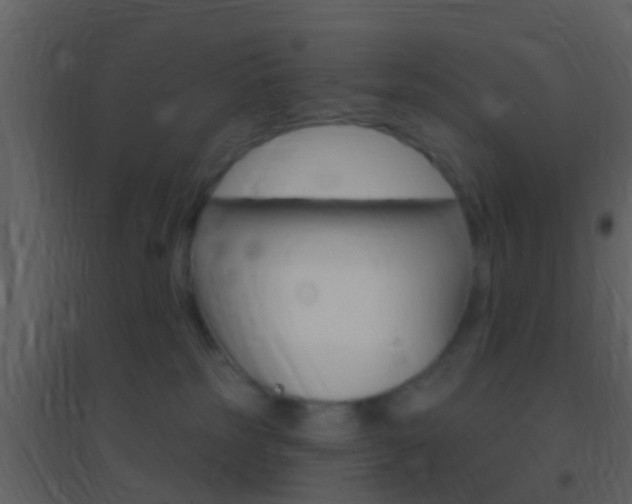 X0000095530185200712140943