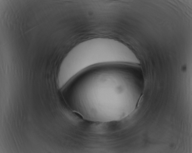 X0000095530186200712140943