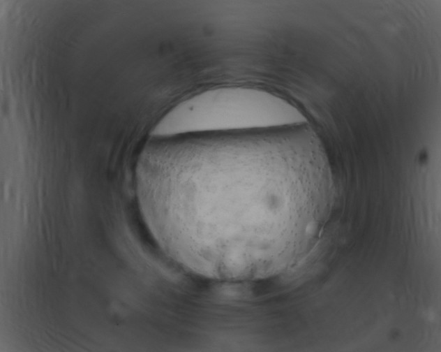 X0000095530187200712140943