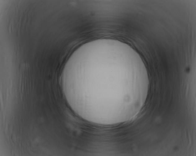 X0000095530188200712140943