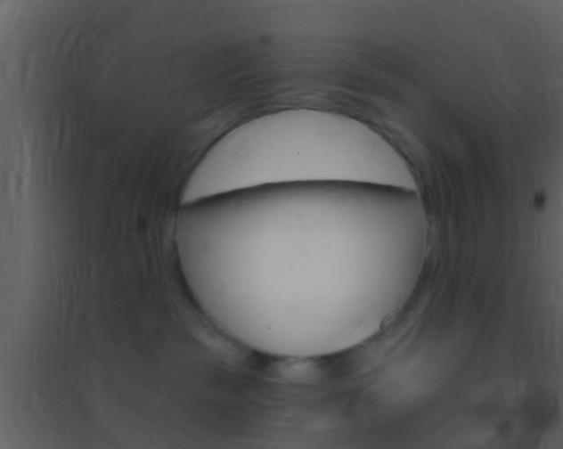 X0000095530189200712140943