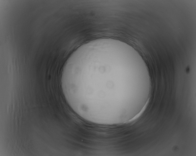 X0000095530190200712140943