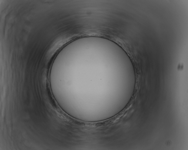 X0000095530194200712140942