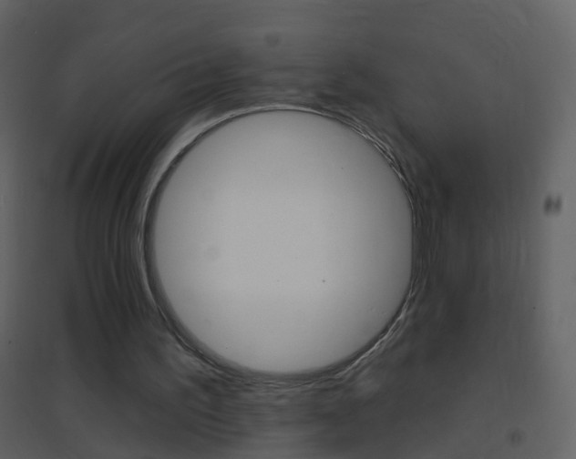 X0000095530195200712140942