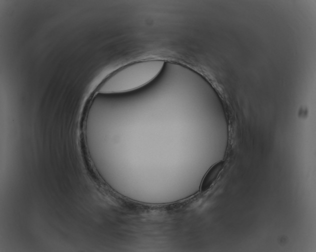 X0000095530196200712140942