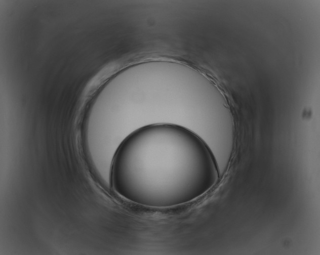 X0000095530197200712140942