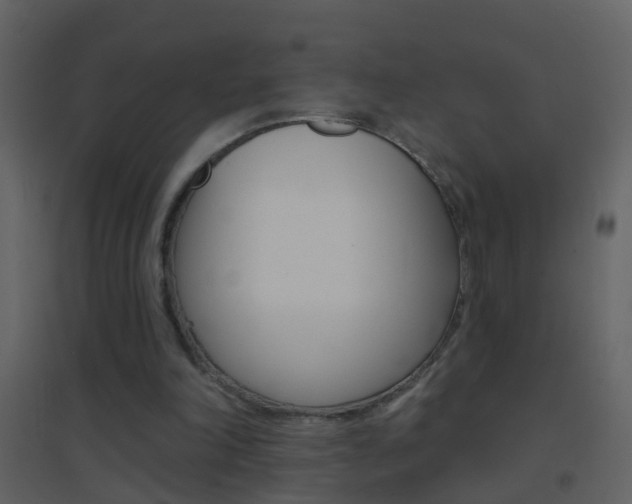 X0000095530198200712140942