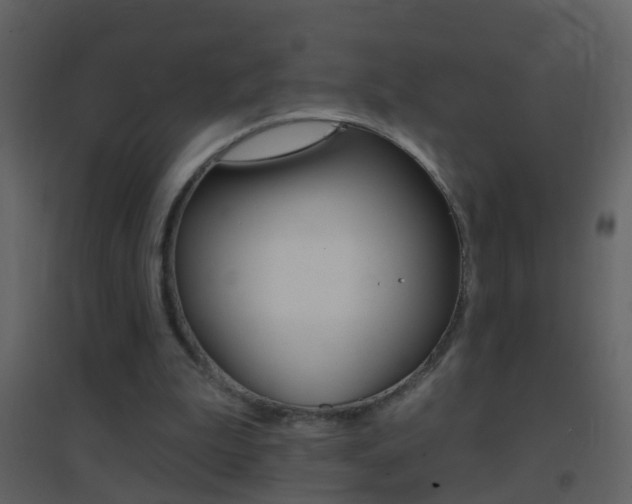 X0000095530199200712140942