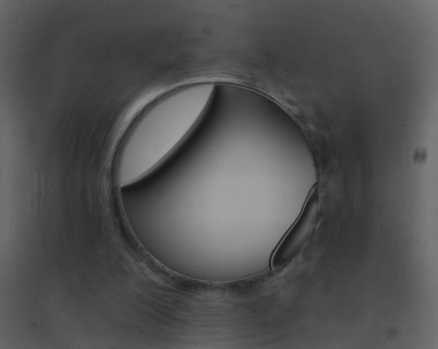 X0000095530200200712140942