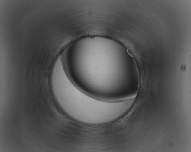 X0000095530201200712140942