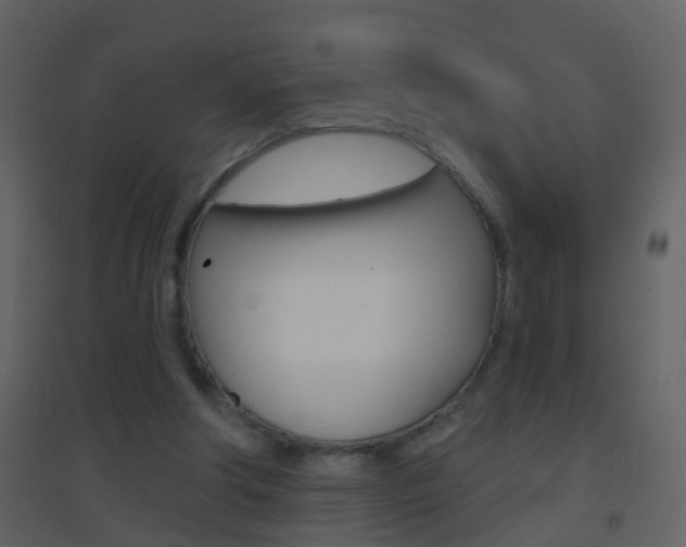 X0000095530202200712140942