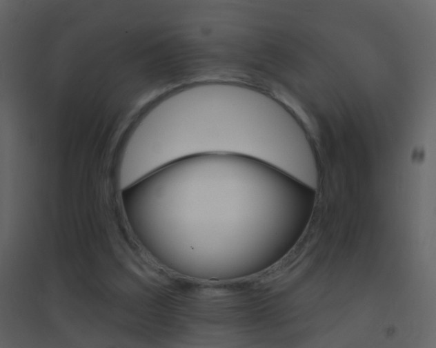 X0000095530203200712140942