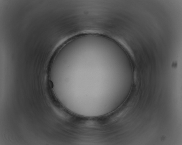 X0000095530204200712140942
