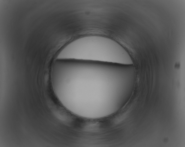 X0000095530206200712140942